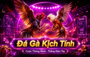 Trận live trên mobile