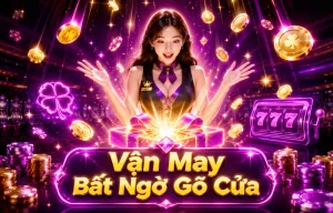 weddingsbykaran app giao diện mobile